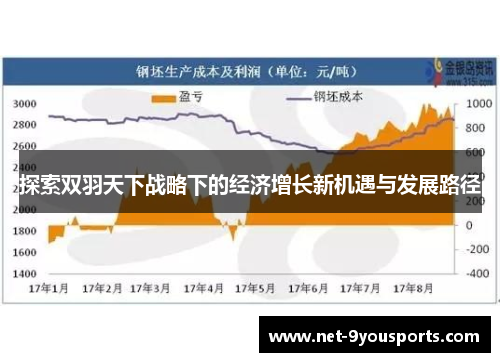 探索双羽天下战略下的经济增长新机遇与发展路径