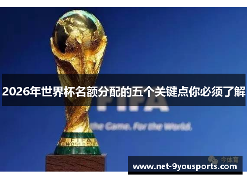 2026年世界杯名额分配的五个关键点你必须了解